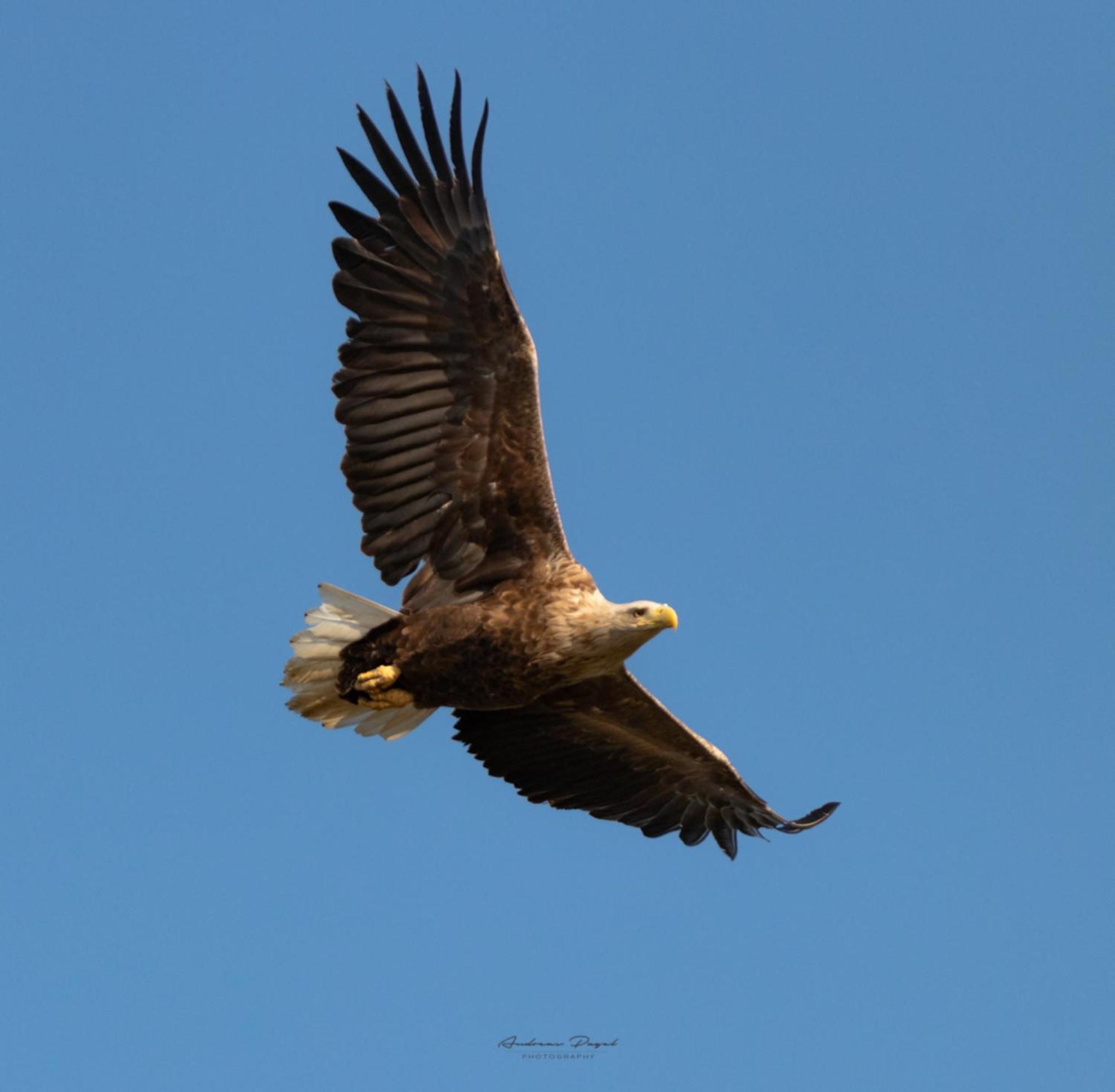 Fewo Seeadler - Heuser เพรโรว์ ภายนอก รูปภาพ